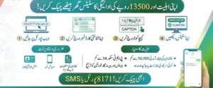 BISP 8171 Result Check Online by CNIC 2026