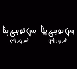 Bas Tu Hi Piya by Amreen Riaz Complete Urdu Novel