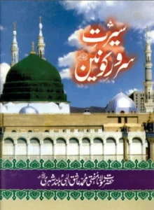 Seerat e Sarwar e Konain By Mufti Ashiq Ilahi Pdf
